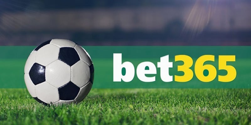 Thể thao BET365 sân chơi toàn diện cho bet thủ